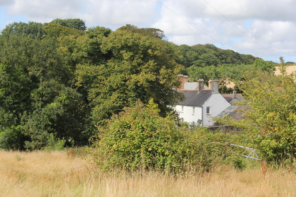 Costislost House Wadebridge Exterior foto